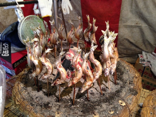 Grilled fish around coal, Japanese BBQ